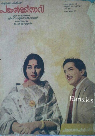 Pakalkkinavu