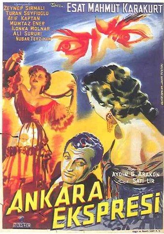 Ankara Ekspresi