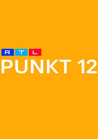 PUNKT 12