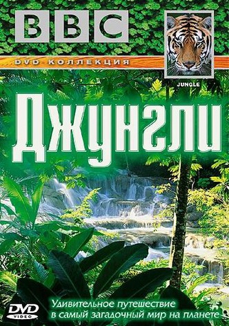 Jungle