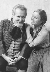 Der zerbrochene Krug