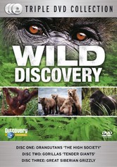 Wild Discovery - Season 1