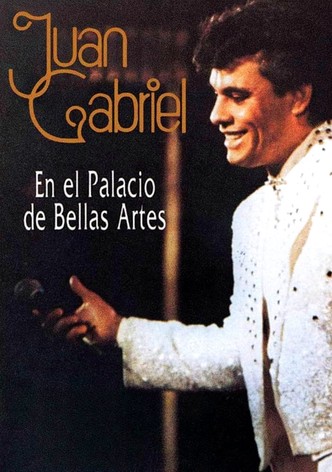 Juan Gabriel - En el Palacio de Bellas Artes