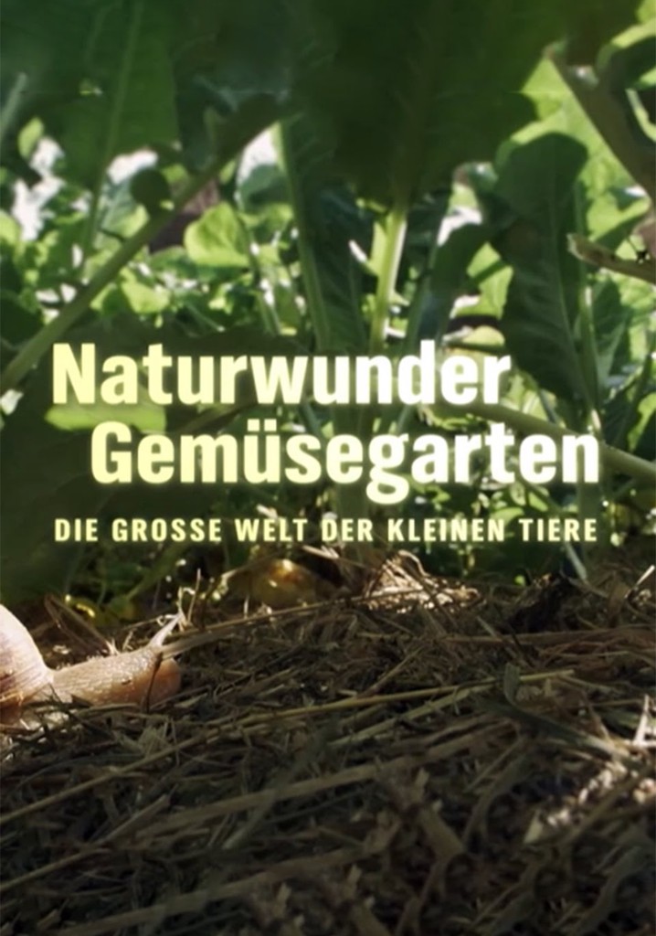Naturwunder Gemüsegarten Die große Welt der kleinen Tiere