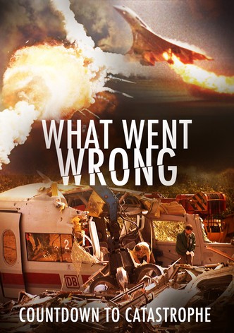 What Went Wrong: Countdown to Catastrophe