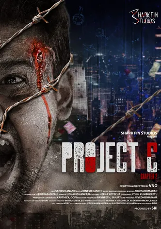 PROJECT C - Chapter 2 poster