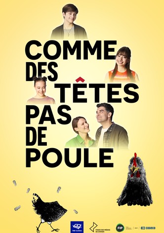 Comme des têtes pas de poule