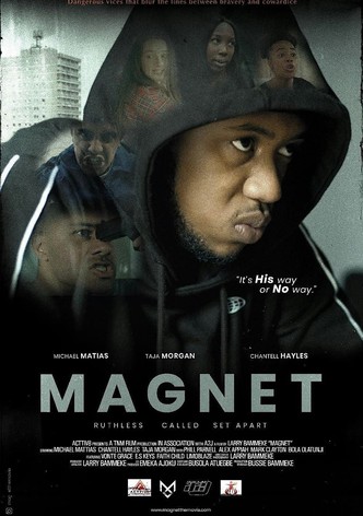 Magnet