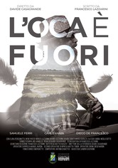 L'oca è fuori