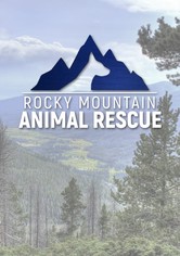 Rocky Mountain Animal Rescue