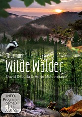 Wilde Wälder