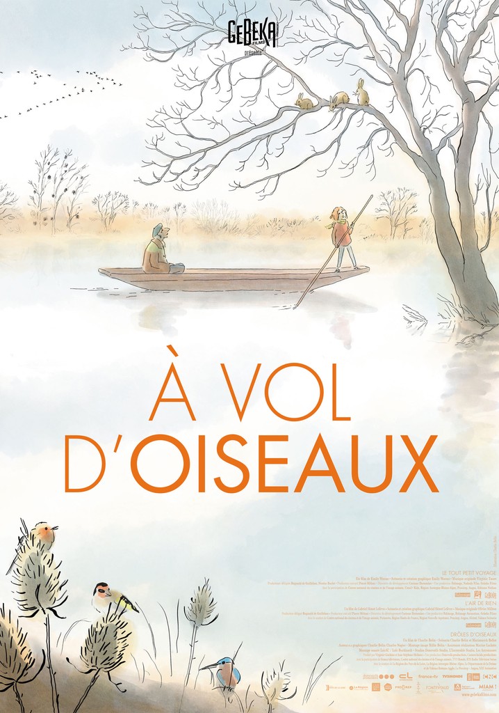 À Vol d'oiseaux