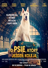 Lampo, the Travelling Dog