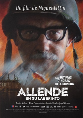 Allende in His Maze