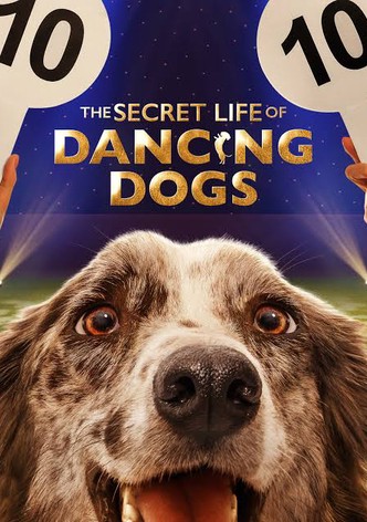 The Secret Life of Dancing Dogs