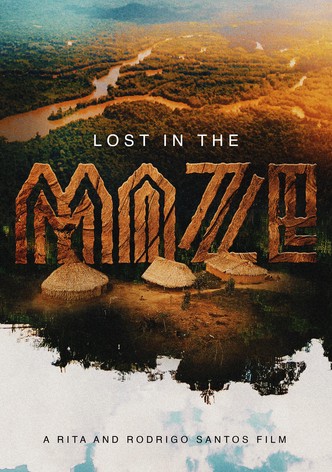 Lost in the Maze