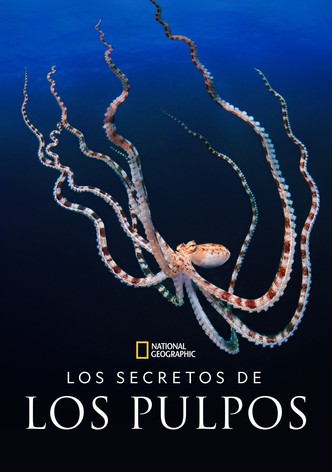 Los secretos del pulpo