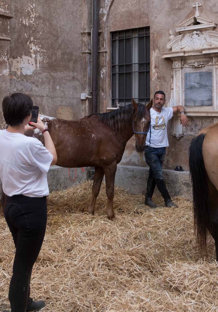 De caballos y guitarras