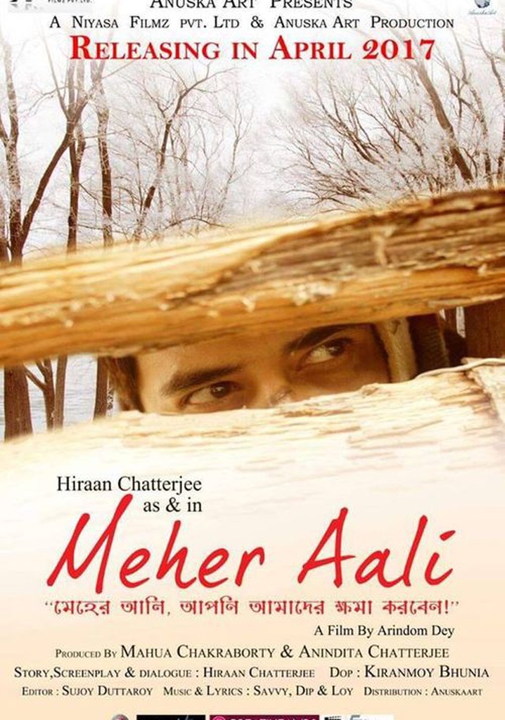 Meher Aali