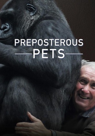 Preposterous Pets