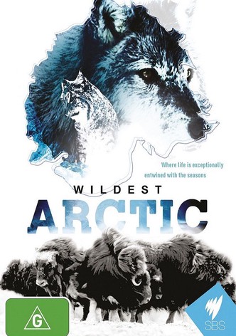 Arctic With Bruce Parry