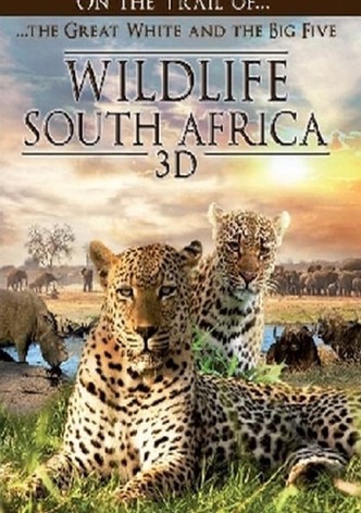 Wildlife Südafrika: Auf den Spuren von weißen Haien und den Big Five