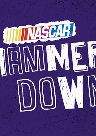 NASCAR Hammer Down