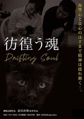 Drifting Soul