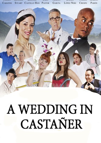 A Wedding in Castañer