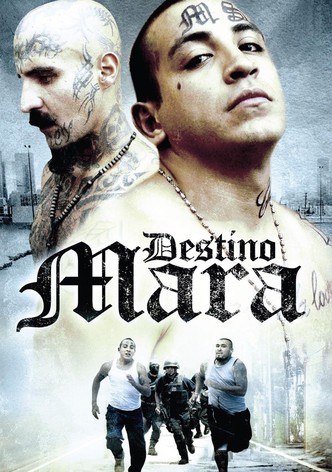 Destino Mara