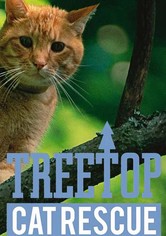 Treetop Cat Rescue