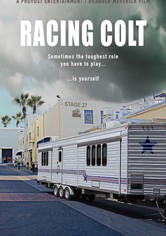 Racing Colt