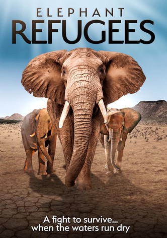 Elephant Refugees