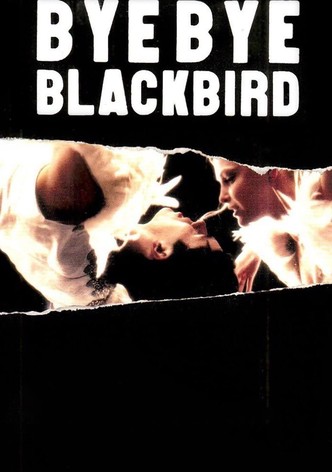 Bye Bye Blackbird