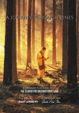 A Journey Through Pines
