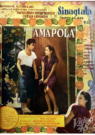 Amapola