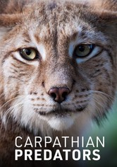 Carpathian Predators - Carpathian Stags - Season 1