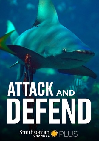 Attack and Defend