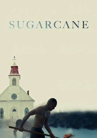 Sugarcane