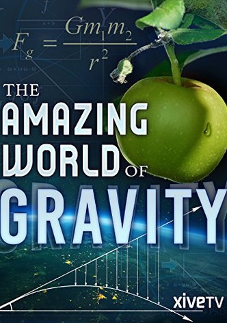Gravity and Me: The Force That Shapes Our Lives