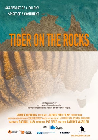 Tiger on the Rocks