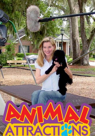 Animal Attractions TV