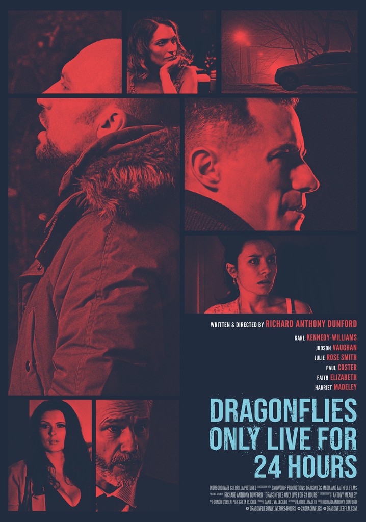 Dragonflies Only Live for 24 Hours