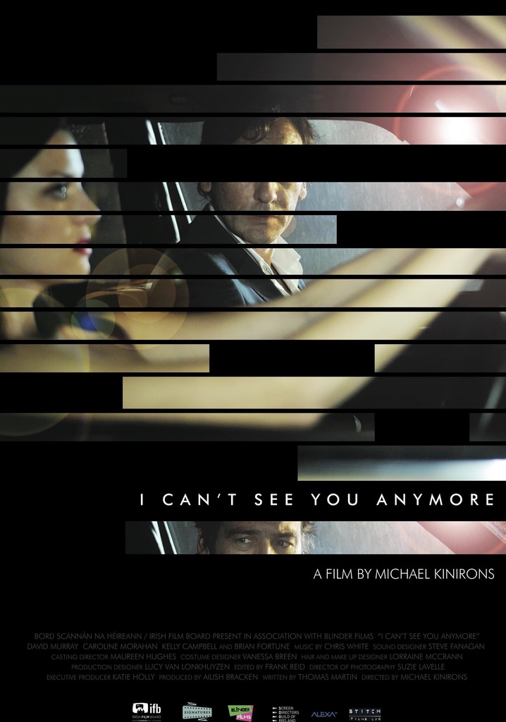 I Can't See You Anymore