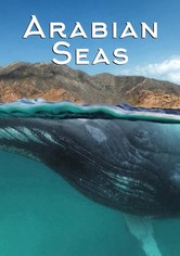Arabische Meere
