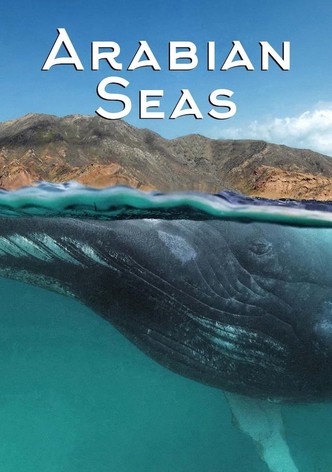 Arabische Meere