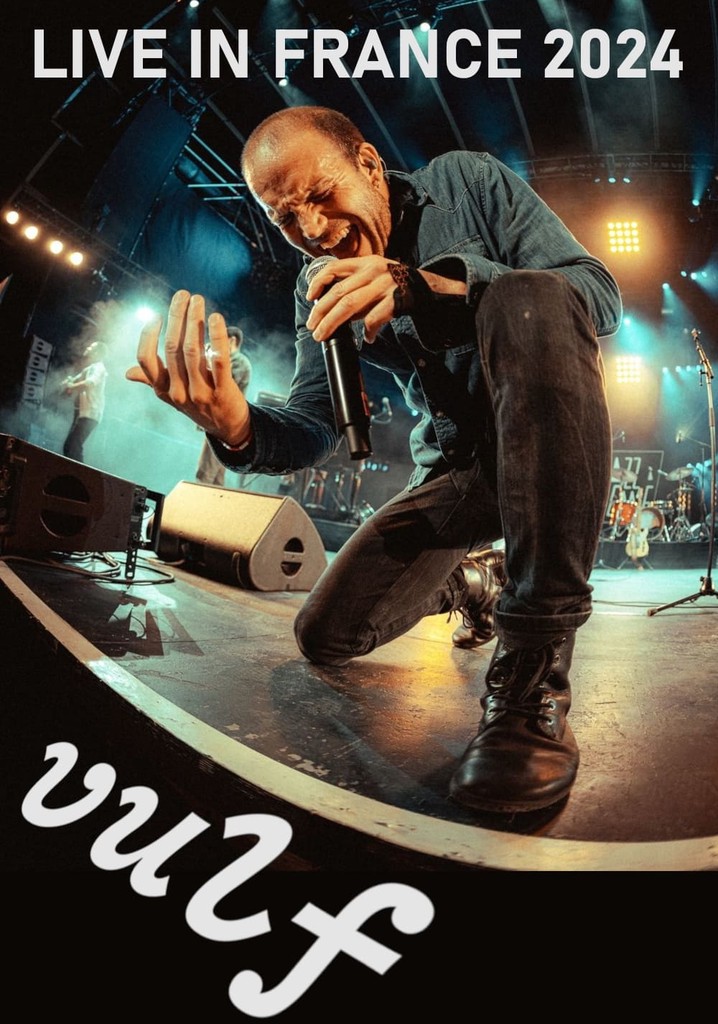 Vulfpeck Live in France