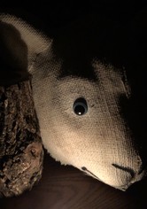 Maria's Tale