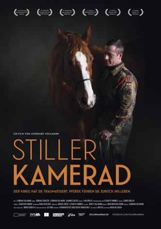 Stiller Kamerad