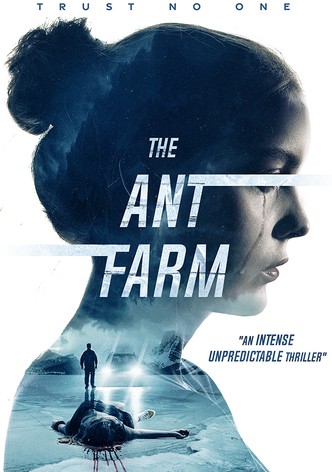 The Ant Farm